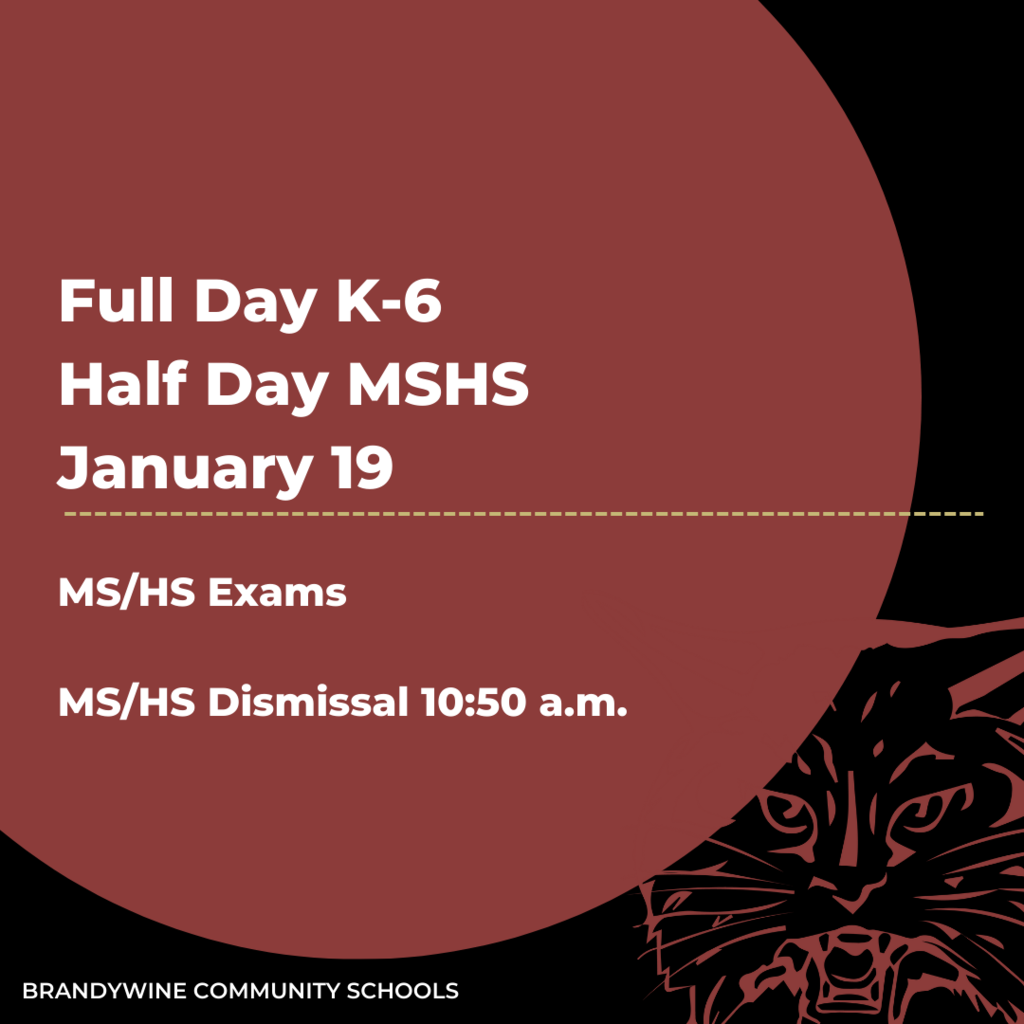 full day k-6, half day mshs January 19